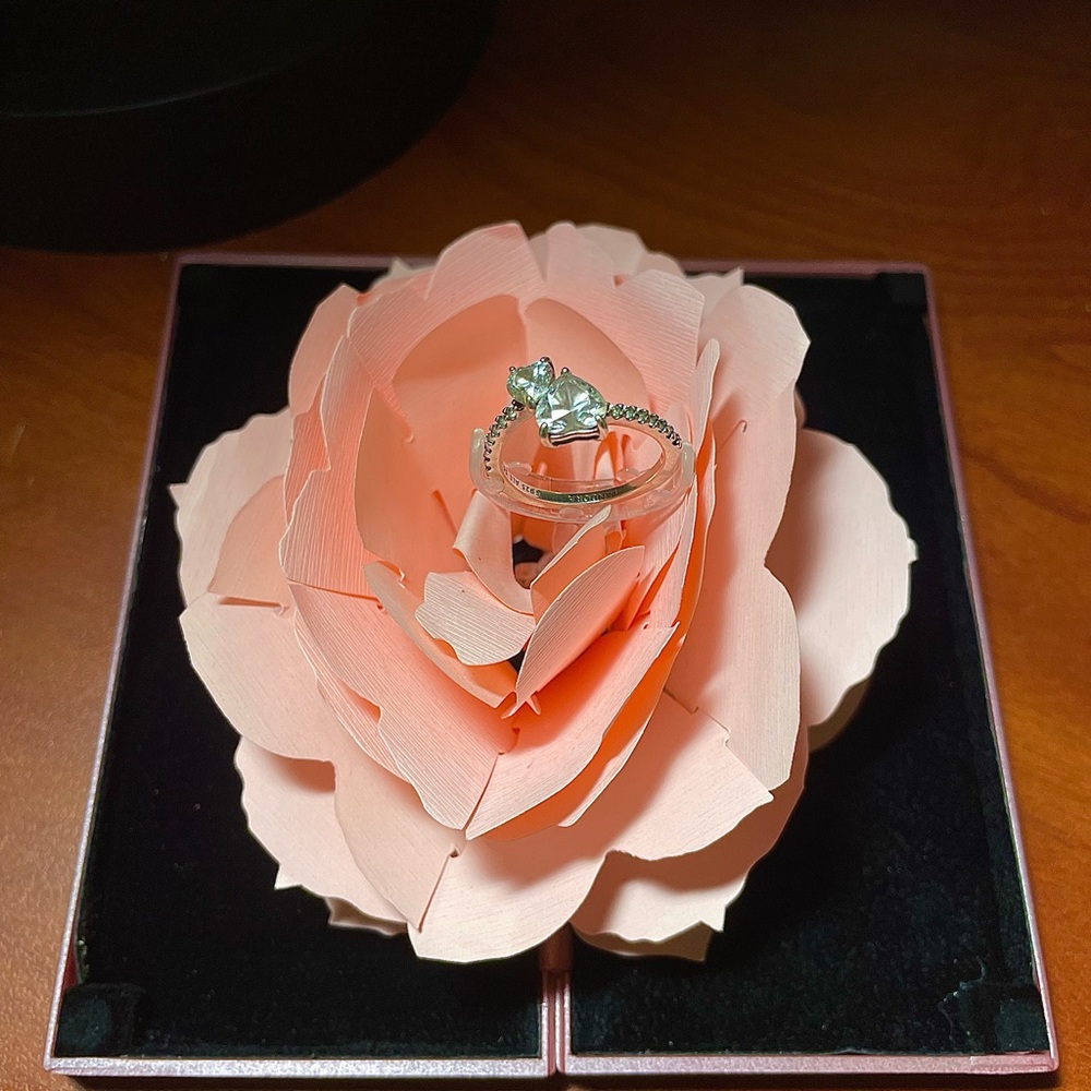 Double Heart Sparkling Ring